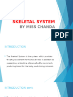 Skeleton System by Miss Chanda