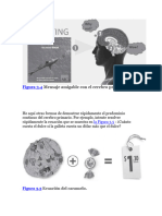 Mapa de La Persuasion 2