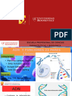 Adn y Cromosomas