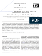 A New Paradigm For The Action of Reactive Oxygen Species in The Photoinhibition of Photosystem II