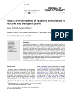 Impact and Interaction of Lipophilic Antioxidants in Mutants and Transgenic Plants