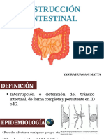 Obstruccion Intestinal