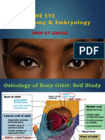 The Eye Gross Anatomy and Embryology 2024