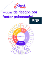 Matriz de Riesgos Por Factor Psicosocial