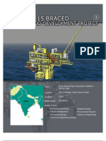 RNZ Project Experience Offshore