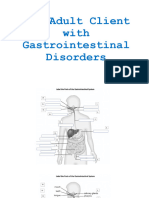 Gastrointestinal System