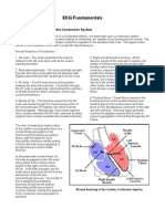 EKG Basics Handout