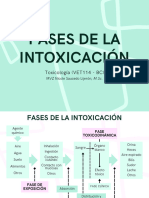 Fases de La Intoxicación - 20240819 - 120029 - 0000