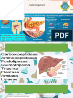 Enzimas Pancreaticas