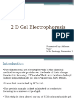 Electrophoresis.2 2