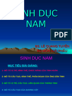 Sinh D C Nam