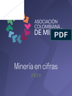 ACM Mineria en Cifras - 2024