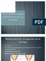 Malformaciones Congénitas de La Laringe