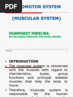 06 Locomotor-Muscular System