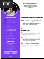 Curriculum Vitae Professionnel 2