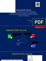 CLASE 04 BIOMOL EST GENERALES Señales Celulares