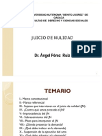 Juicio de Nulidad