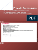 Encuesta Prov. Buenos Aires - CB - Elecciones 2025 - 1325 Casos - Octubre 2024