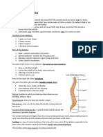 Chapter 4 Biology