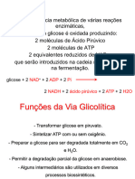 Via Da Insulina - Glicolise 07.03.24