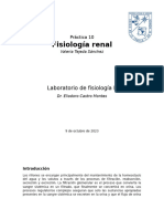 P10 - Fisiología Renal