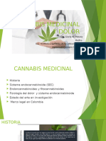 Cannabis y Dolor