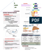 Sema 8 - Bioquimica