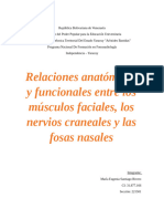 Relaciones Anatómicas y Funcionales Entre Los Músculos Faciales, Los Nervios Craneales y Las Fosas Nasales