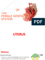 New Lecture On Uterus