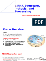 RNA Structure, Synthesis, and Processing