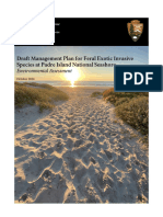 Draft Management Plan For Feral Exotic Invasive Species at Padre Island National Seashore