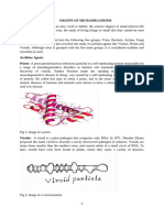 Groups of Microorganism - 062035