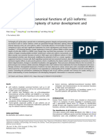 Canonical and Non-Canonical Functions of p53 Isoforms: Potentiating The Complexity of Tumor Development and Therapy Resistance