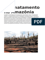 Desmatamento Na Amazônia.