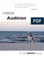 Audition 2