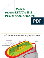 Ber MEMBRANA PLASMTICA