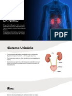 Apresentação Sistema Urinário