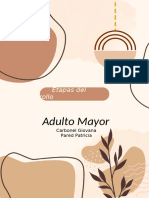 Adulto Mayor