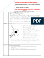 TP Dissection Oeil2