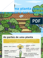 Do Que Uma Planta Precisa para Crescer e Ser Saudavel - Powerpoint