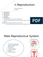 Human Reproduction