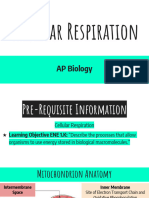 U3 Cellular Respiration