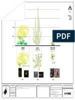 A-P-005b PALETA VEGETAL Arbustos