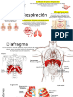 08-24 B Ventilación