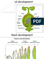 Seeddevelopmentembryogeneis Recalcitrant