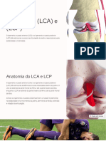 Ligamento LCA e LCP