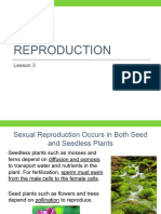 Lesson 3 - Plant Reproduction