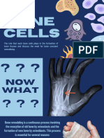 Bone Cells