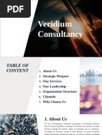 Metador - Account Consultancy and Auditing Service v5