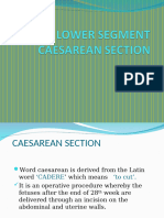 Lower Segment Caesarean Section